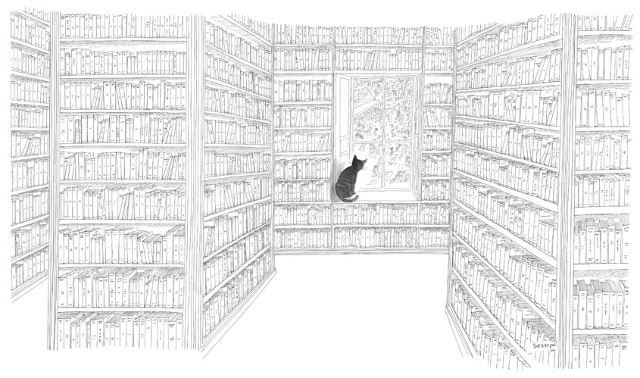 Le chat dans la grande bibliothèque, una de les peces de Sempé exposades a la llibreria Jaimes